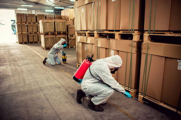 Best Affordable Pest Control Services  in Huron, OH