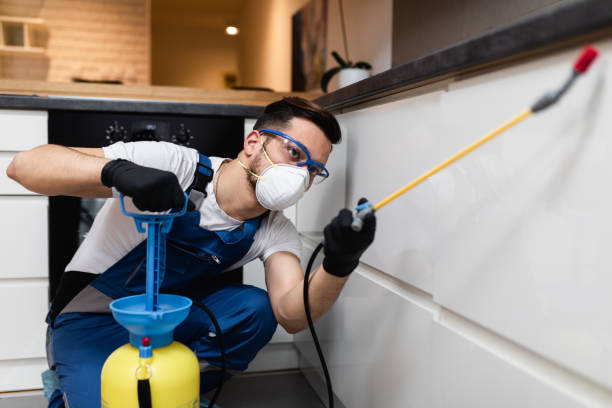 Best Cockroach Control Services  in Huron, OH