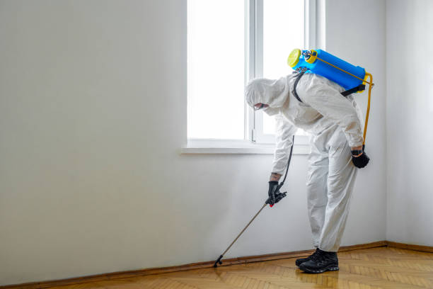 Best Wasp Removal Services  in Huron, OH