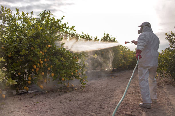 Pest Control Cost in Huron, OH