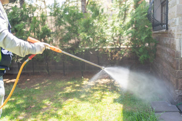 Best Termite Control Services  in Huron, OH