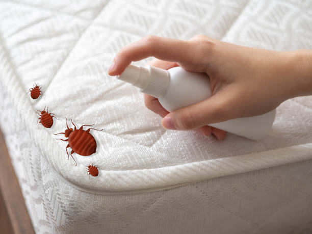Best Best Pest Control Companies  in Huron, OH
