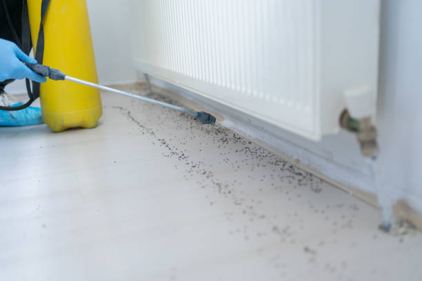 Best Mosquito Control Services  in Huron, OH